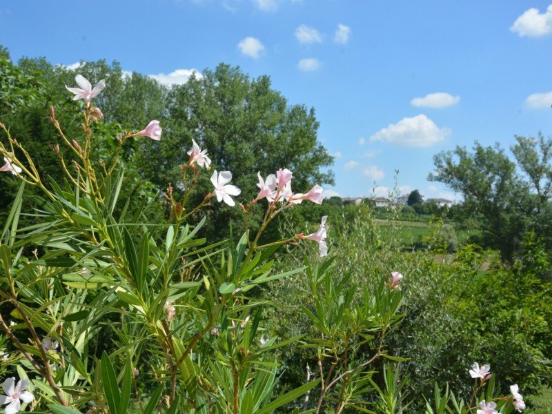 Progetto "VedECOmune Monferrato" 