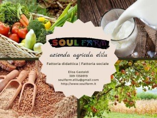 Mangià ad campagna - Elilù