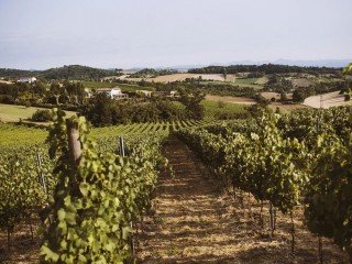 Azienda Agricola La Colombera