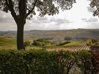 Comune Olivola