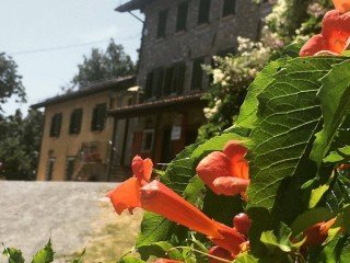 Agriturismo GUARDAMONTE di Raffo Patrizia