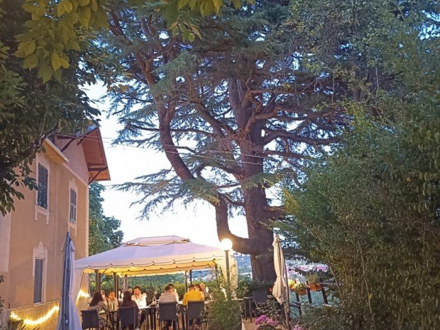 La Volpina