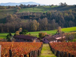 AZIENDA VITIVINICOLA FRATELLI FACCHINO