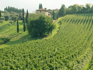 Azienda Agricola Giovanni Daglio